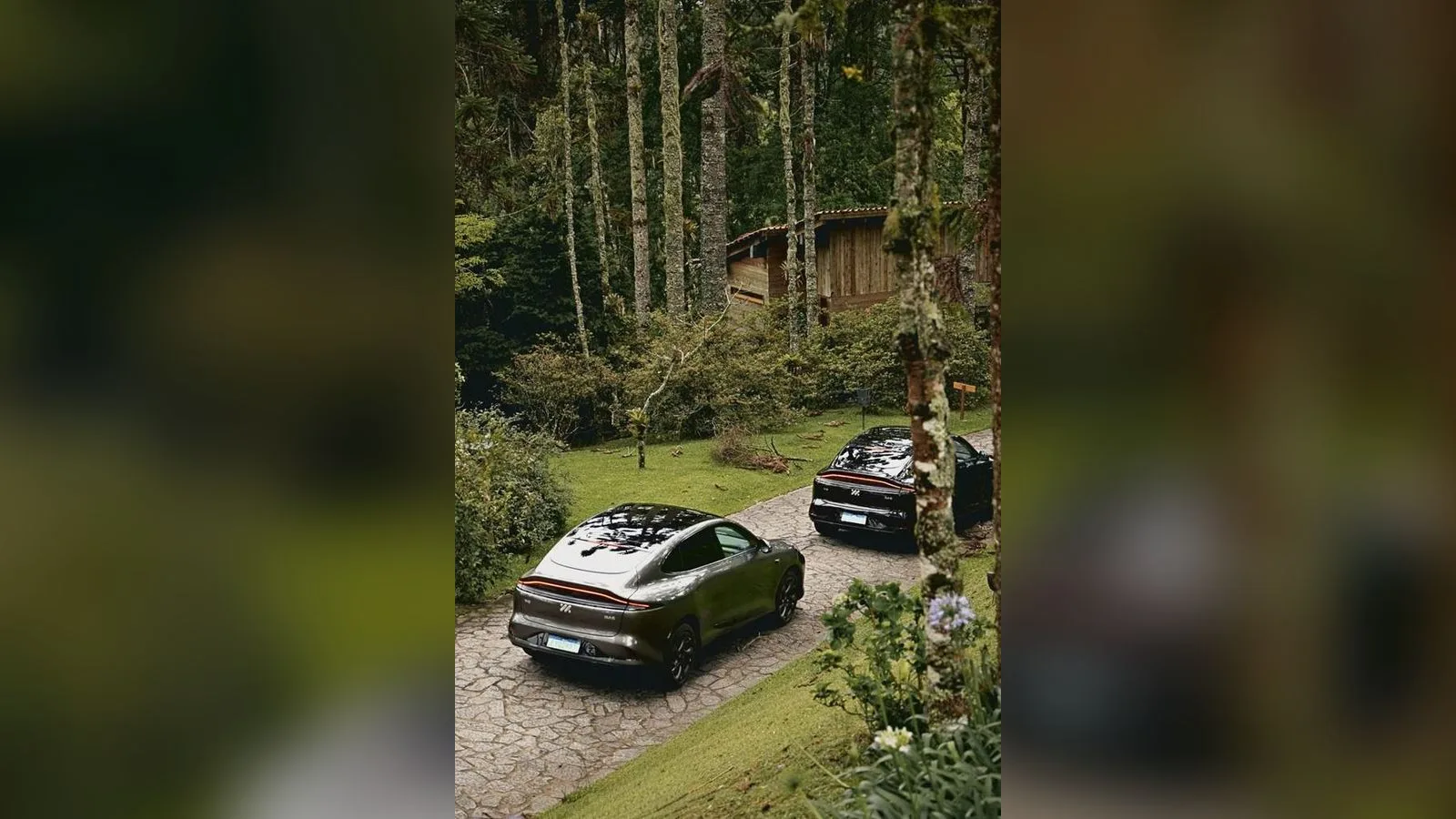 Dois MG IM6 estacionados em caminho de pedra no meio de araucárias